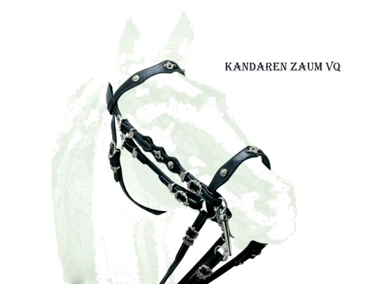 (Bild für) Kandaren Zaum VQ - zum Schließen ins Bild klicken